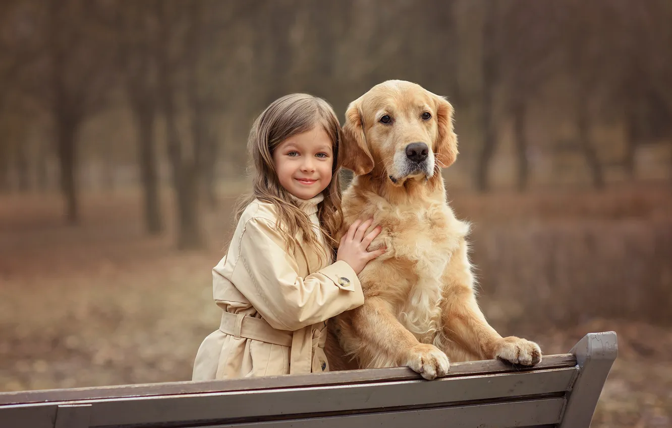 Фото обои осень, деревья, скамейка, природа, поза, улыбка, парк, друг