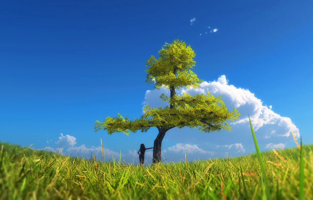 Фото обои небо, трава, девушка, облака, дерево