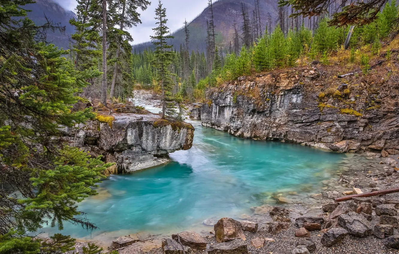 Фото обои лес, деревья, река, скалы, Канада, Canada, British Columbia, Британская Колумбия