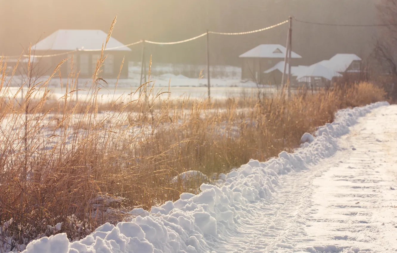 Фото обои зима, дорога, снег, природа, деревня, солнечно, зимний вечер, зимнее солнце