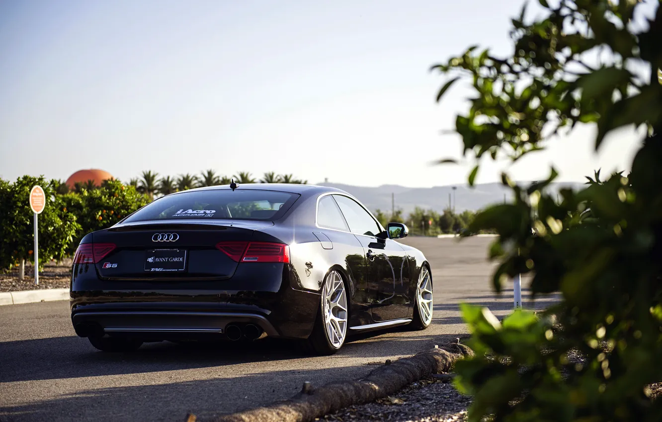 Фото обои Audi, ауди, black, rearside