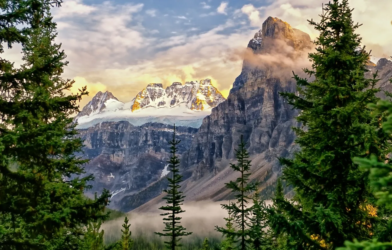 Фото обои деревья, горы, вершины, ели, Канада, Альберта, Alberta, Canada