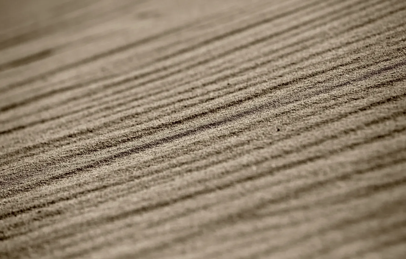 Фото обои песок, макро, линии, боке