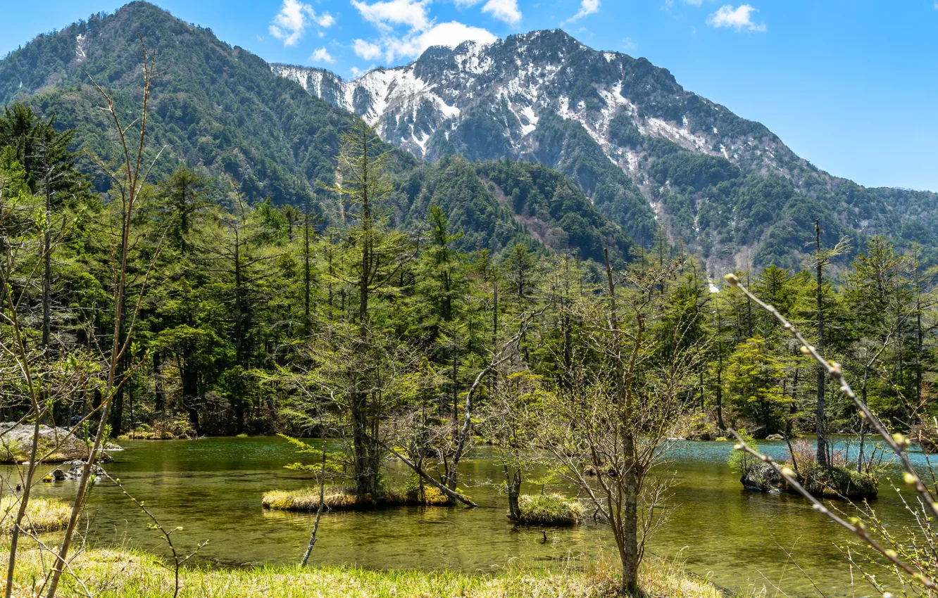 Фото обои Природа, Горы, Япония, Лес, Пруд, Пейзаж, Нагано, Камикочи