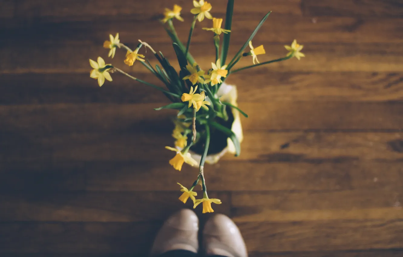 Фото обои цветы, желтые, лепестки, нарциссы
