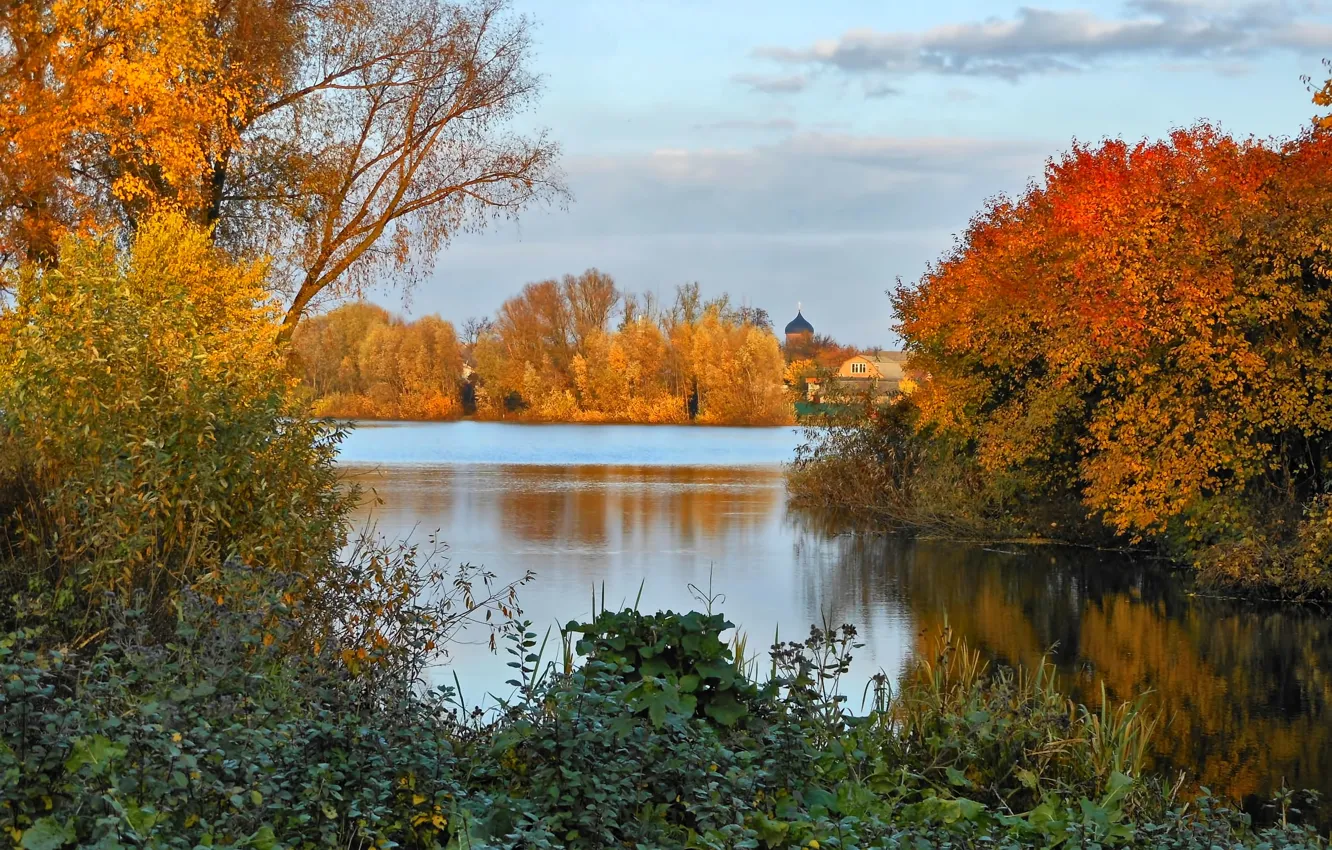 Фото обои осень, деревья, пейзаж, природа, река