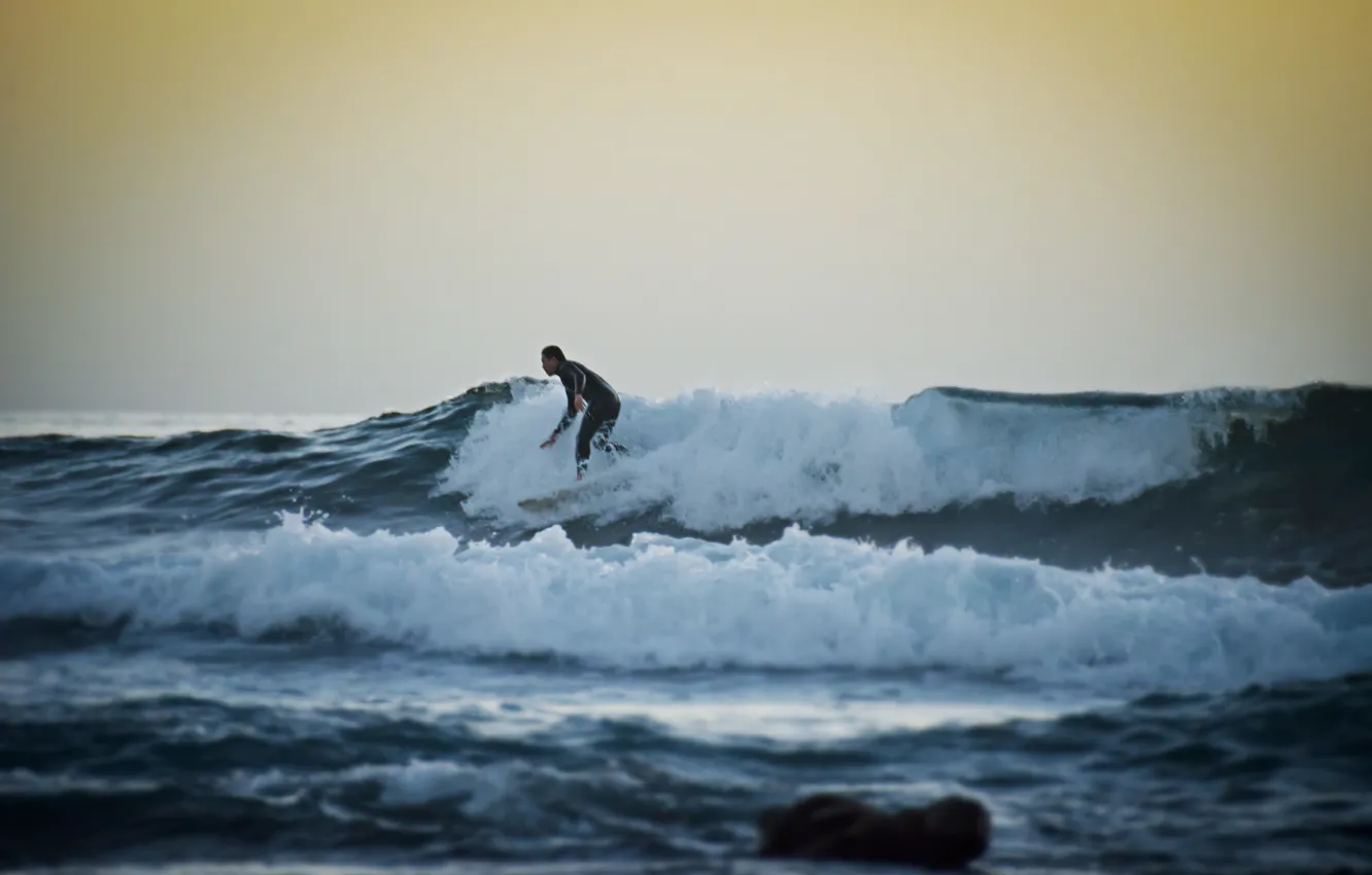 Фото обои волны, закат, серфер, серфинг, экстремальный спорт, доска для серфинга