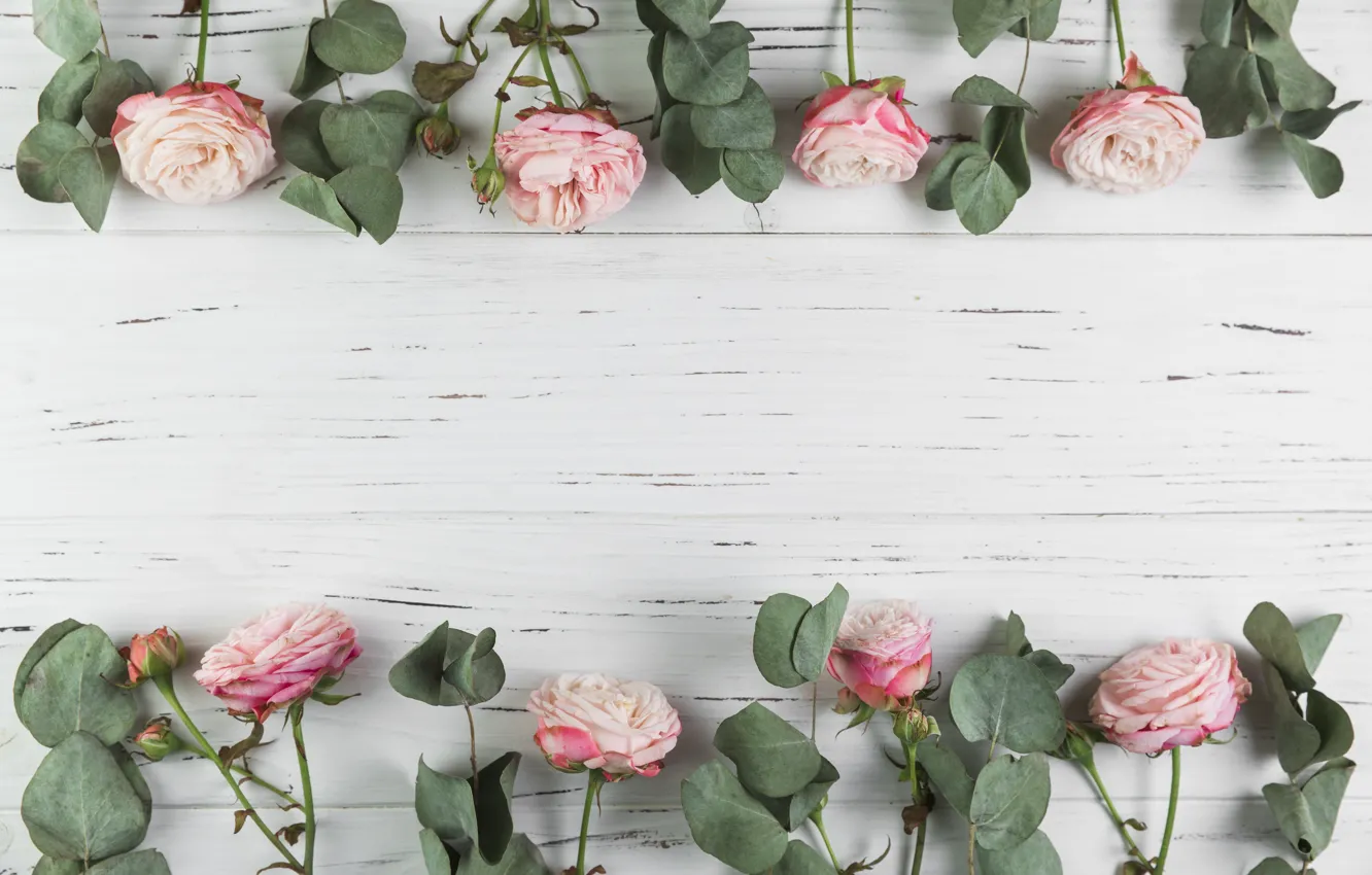 Фото обои цветы, розы, розовые, wood, pink, flowers, beautiful, roses