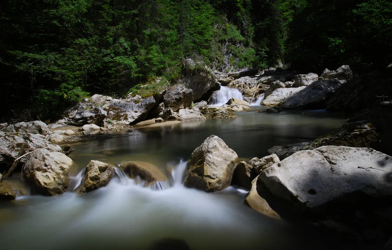Фото обои лес, ручей, камни, поток