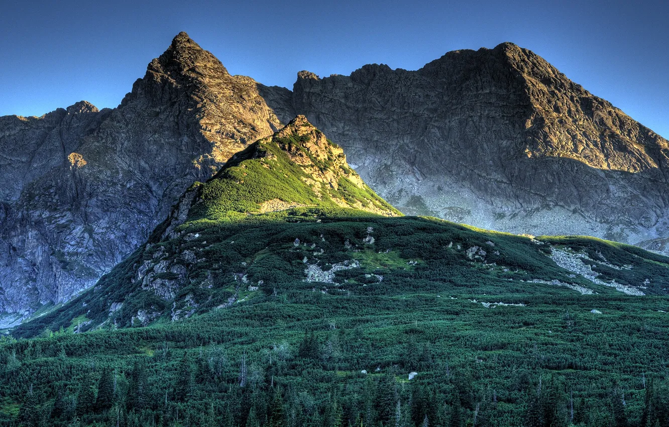 Фото обои mountains, rocks, vegetation