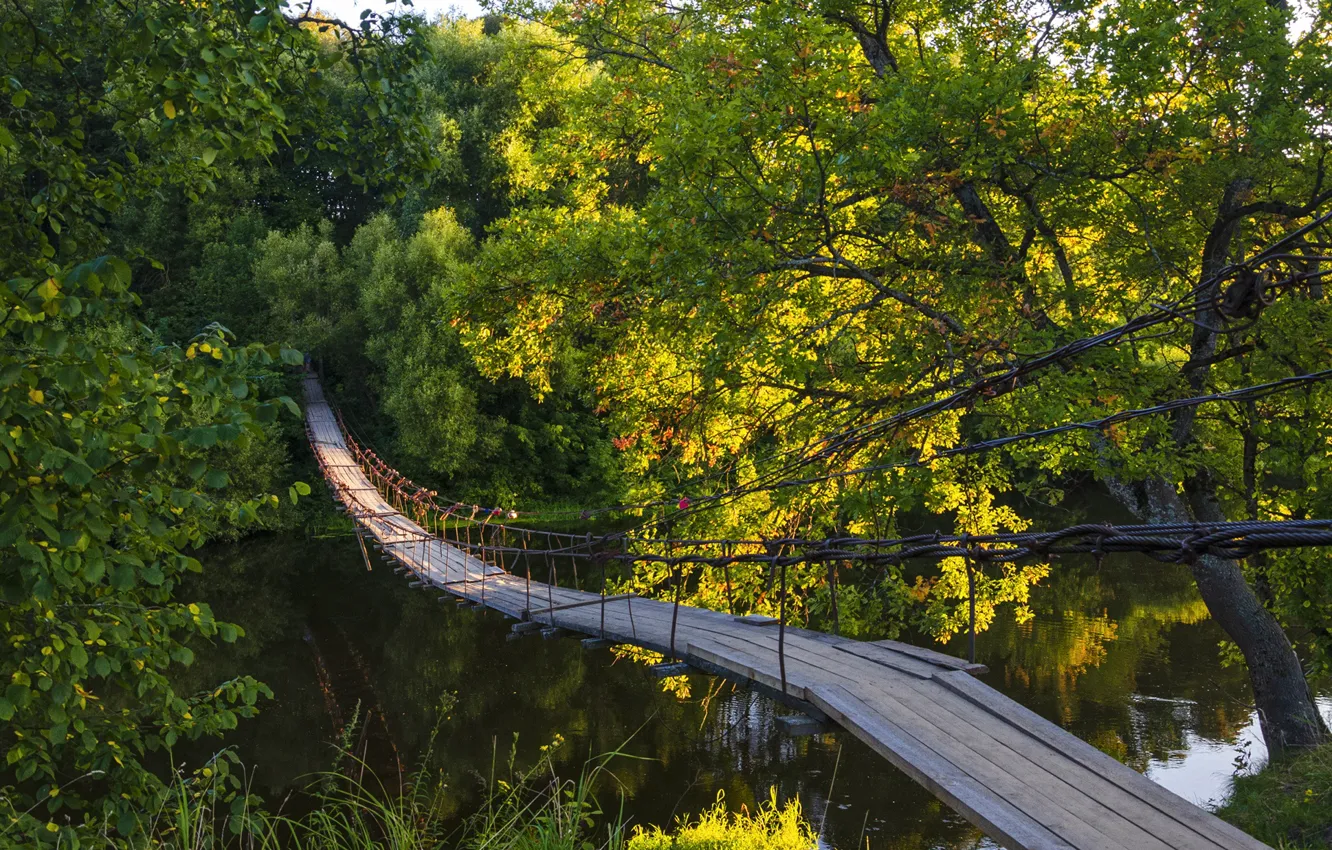 Фото обои лето, деревья, мост, река, Березуцкий Александр