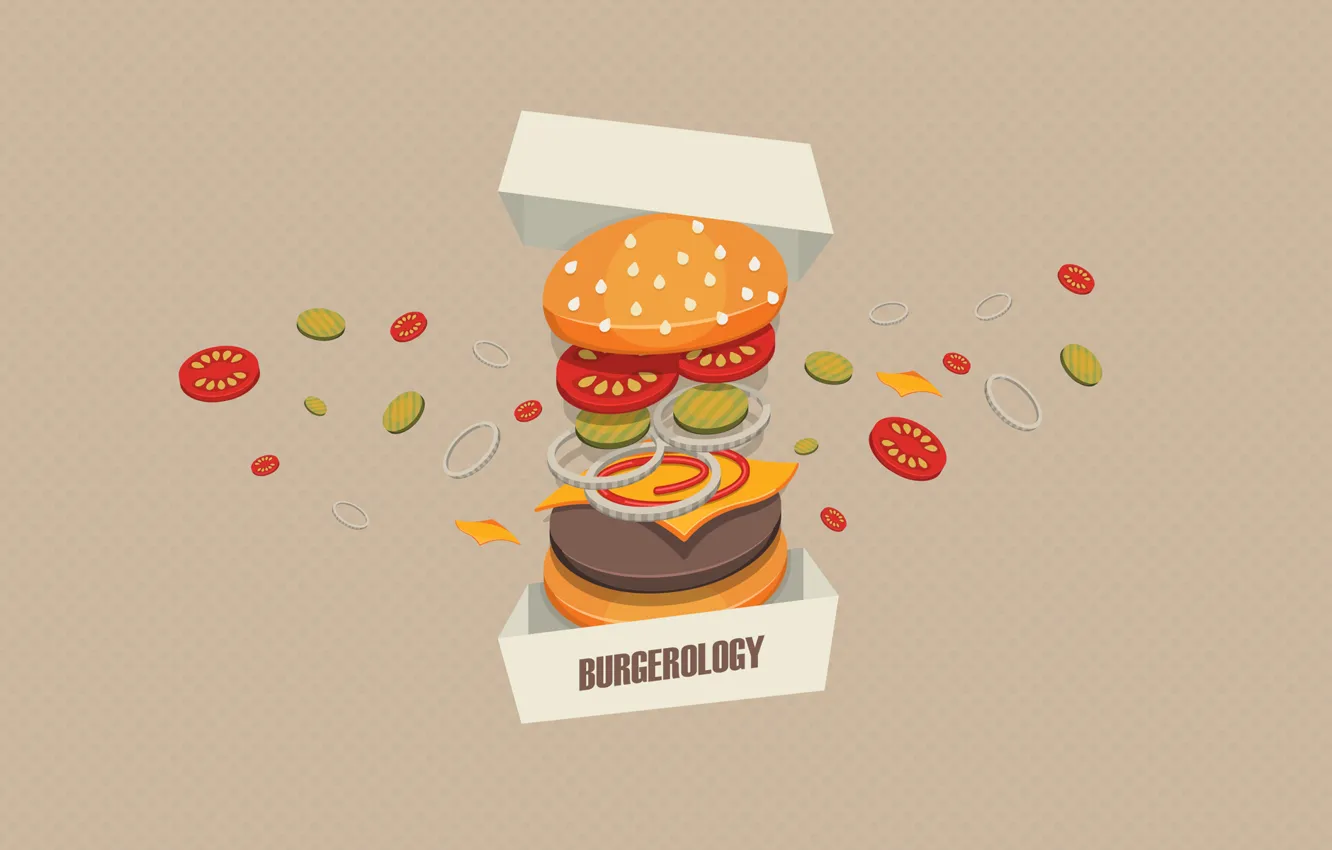 Фото обои фон, коробка, мясо, овощи, бургер, Burgerology