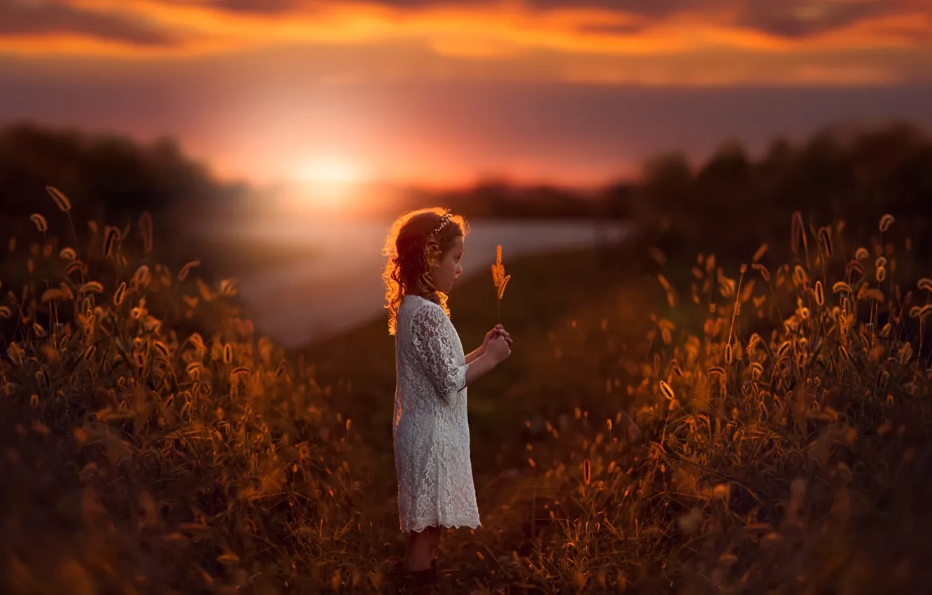 Фото обои поле, закат, девочка, травинка