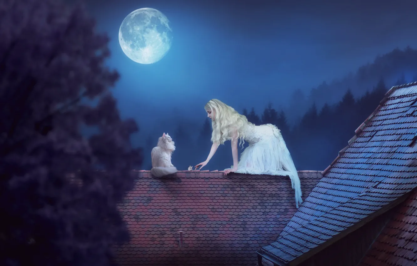 Фото обои девушка, ночь, луна, ситуация, мышь, крыши, на крыше, белая кошка