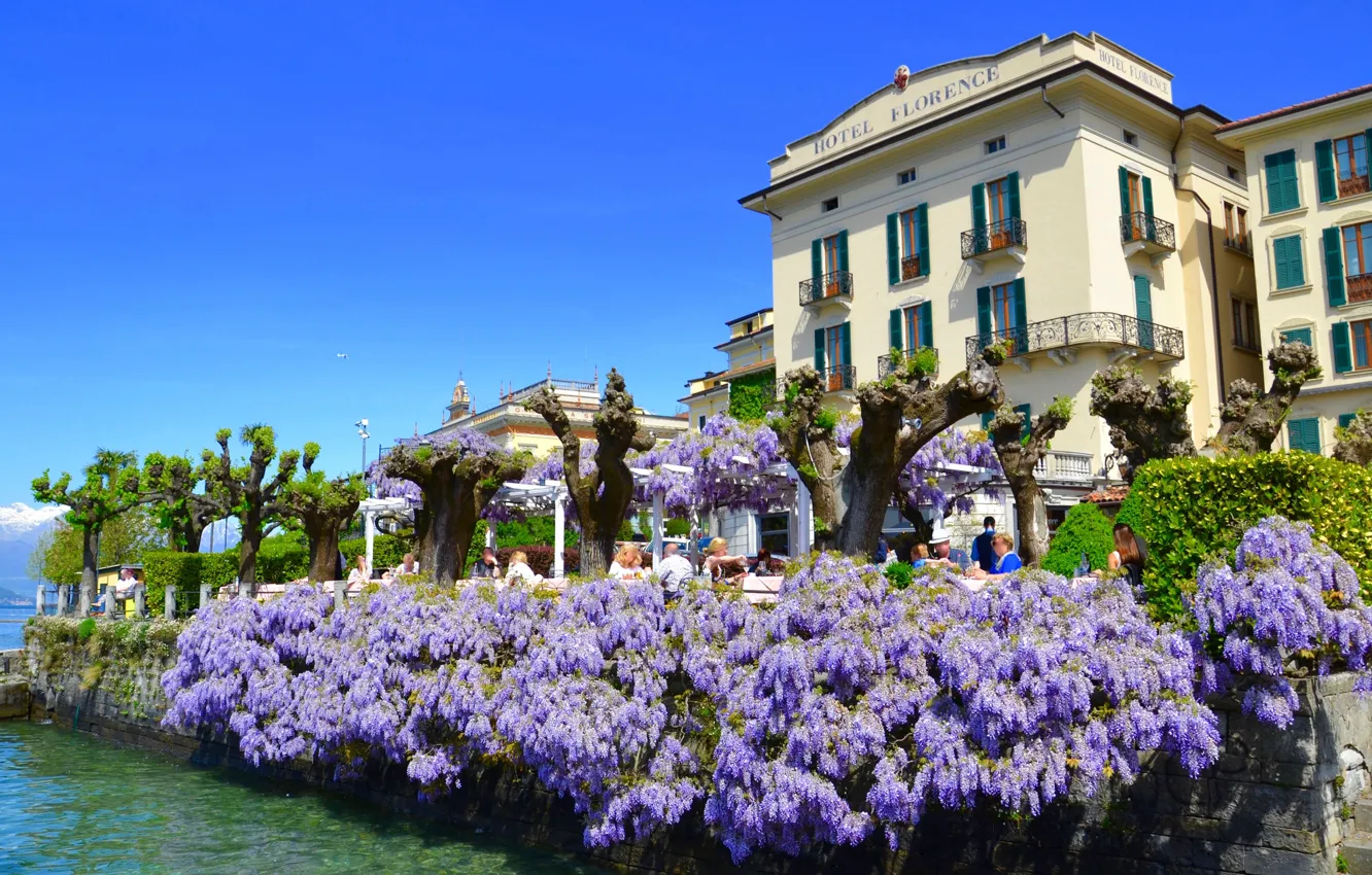 Фото обои озеро, Италия, отель, глициния, Комо, Hotel Florence