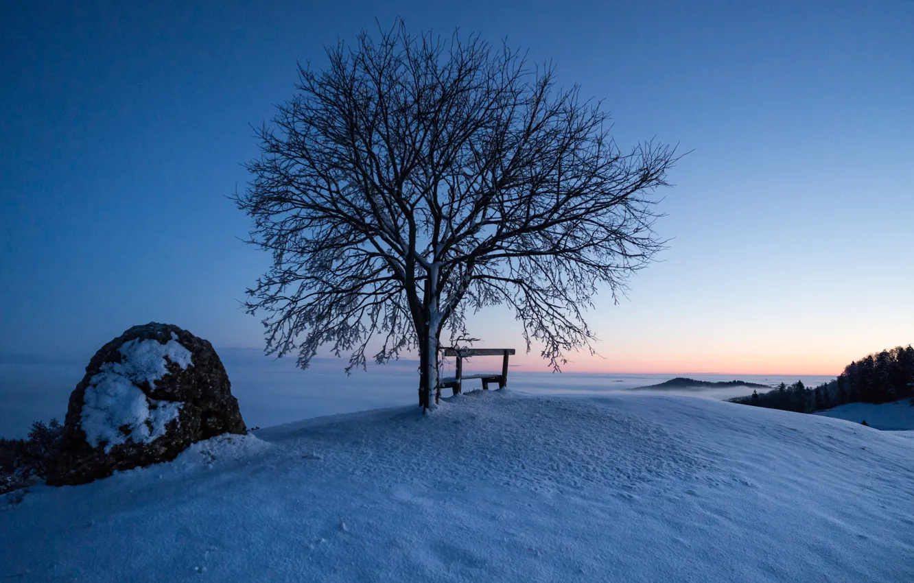 Фото обои зима, снег, скамейка, дерево