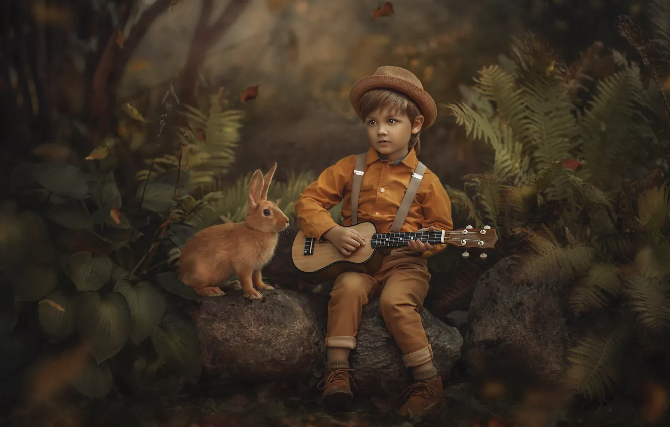 Фото обои лес, природа, камни, животное, растительность, гитара, мальчик, кролик
