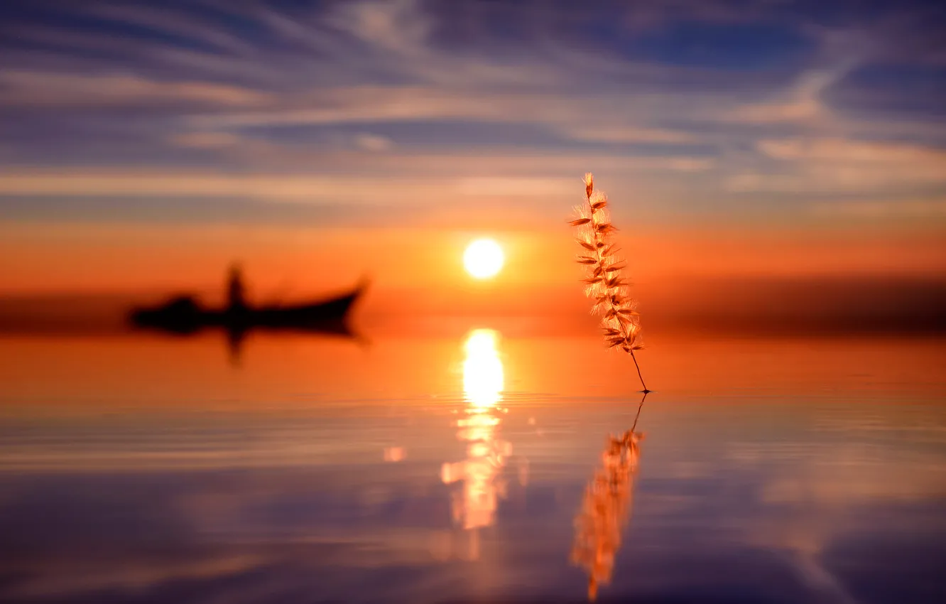 Фото обои вода, солнце, отражение, лодка, силуэт, травинка