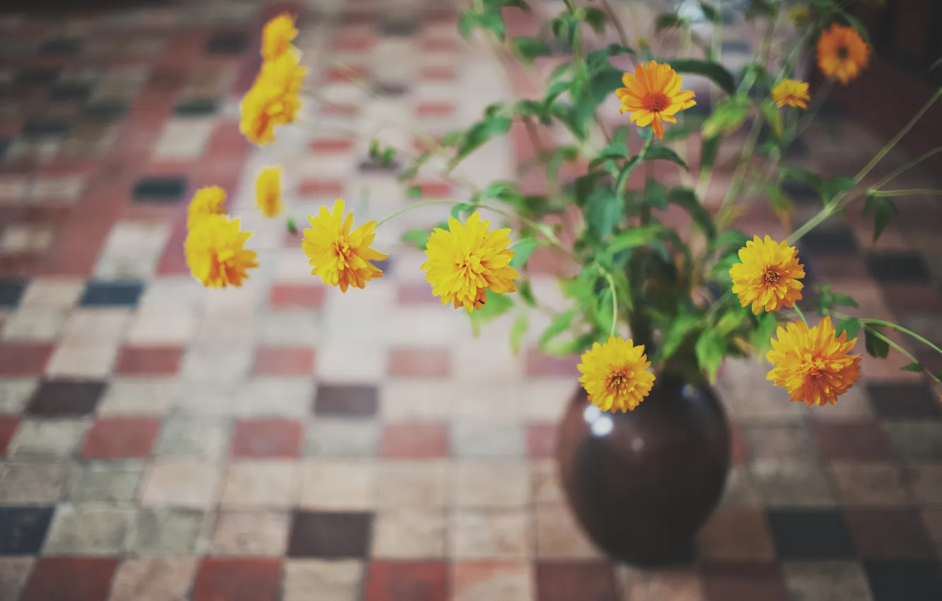 Фото обои цветы, желтые, лепестки, ваза