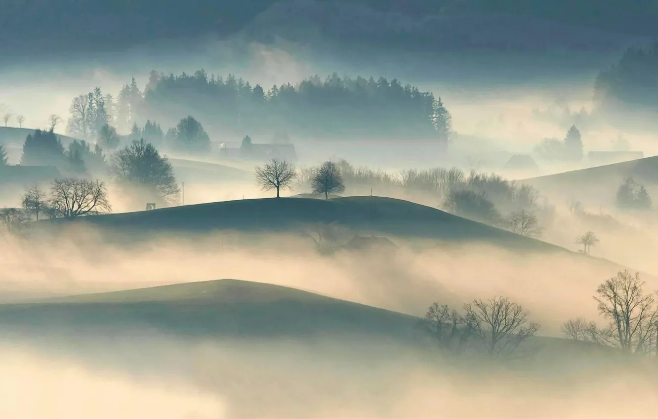 Фото обои trees, landscape, fog, hills