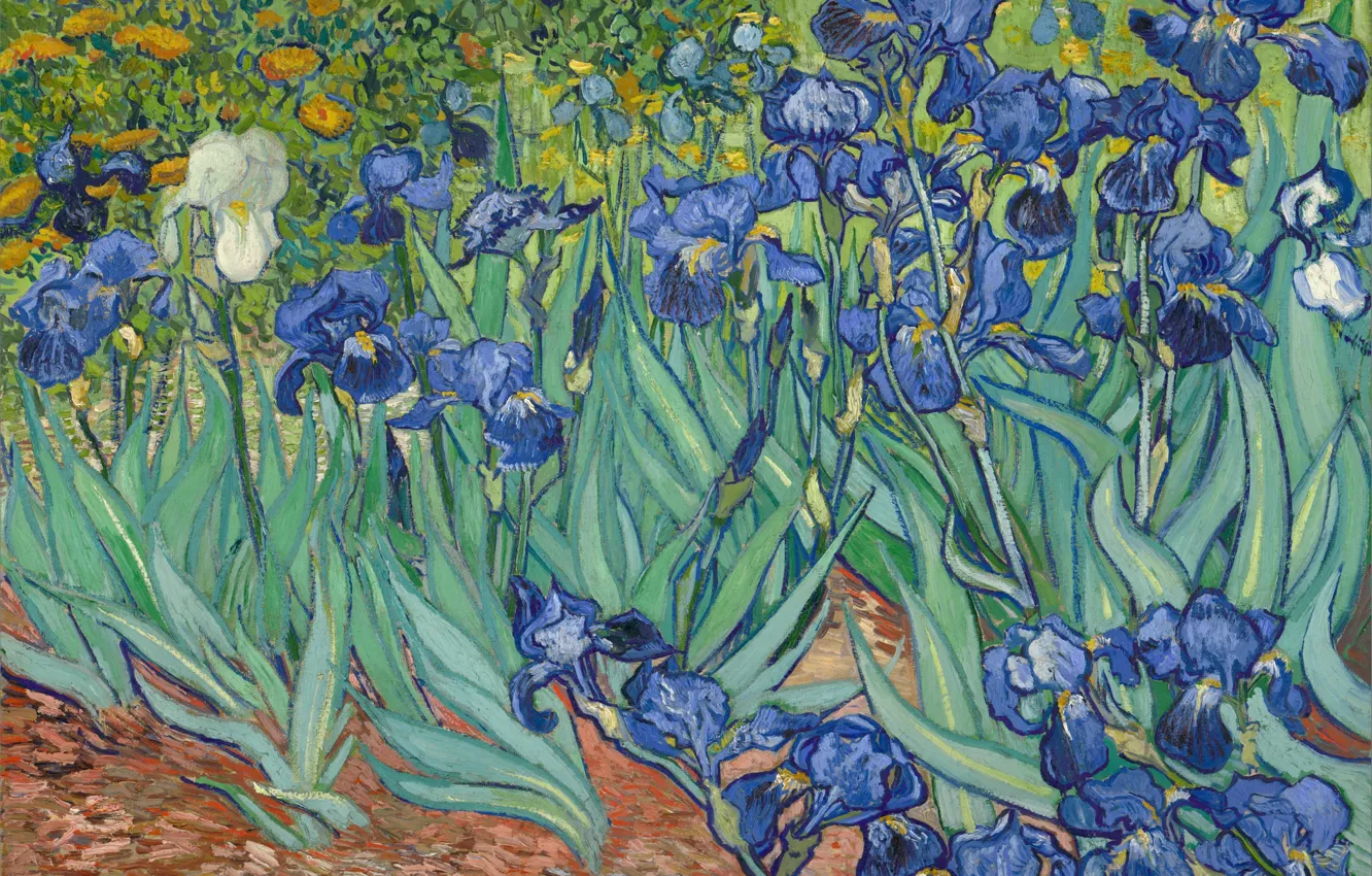 Фото обои цветы, живопись, искусство, ирисы, синие, art, Ван Гог, paintings