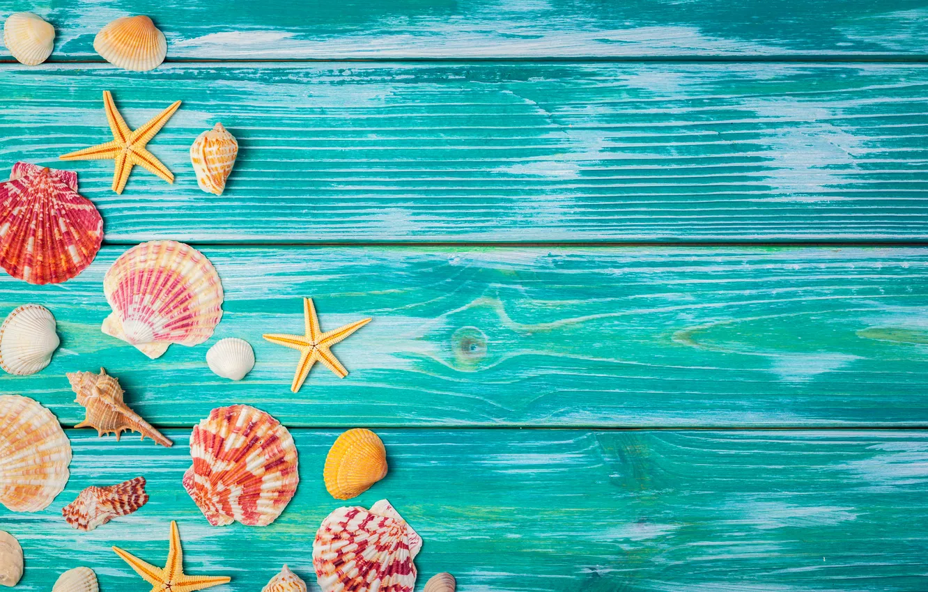 Фото обои пляж, лето, звезды, ракушки, summer, beach, wood, stars