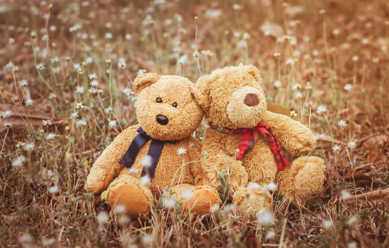 Фото обои любовь, игрушка, медведь, мишка, пара, love, двое, bear