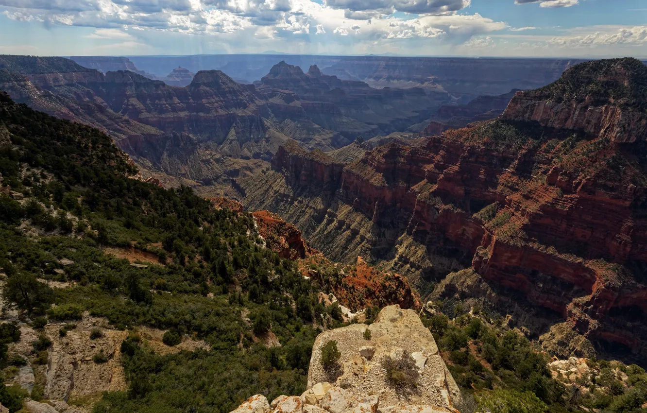 Фото обои Аризона, США, Grand Canyon, North Rim