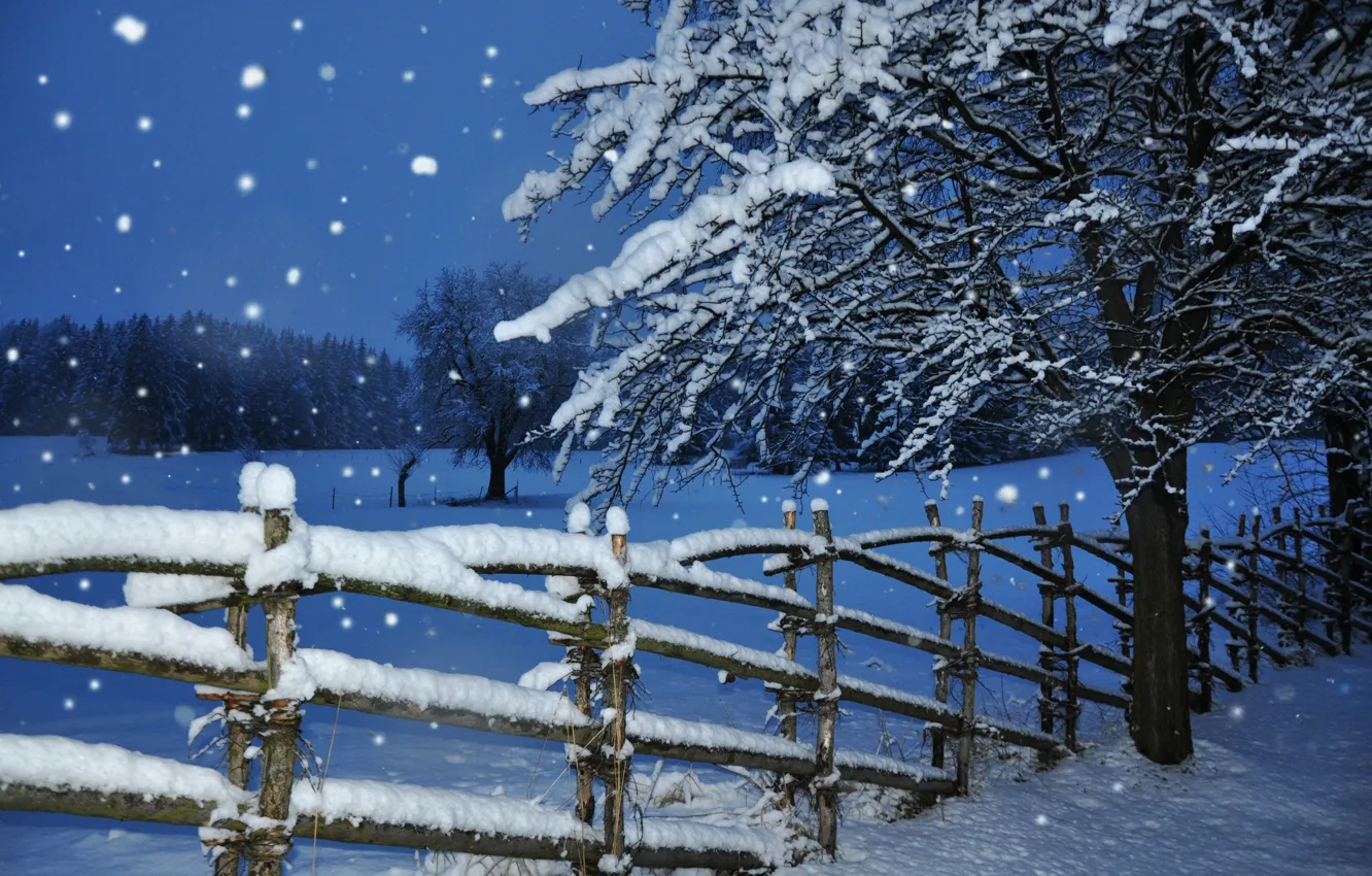 Фото обои зима, снег, дерево, забор, вечер, сумерки, снегопад