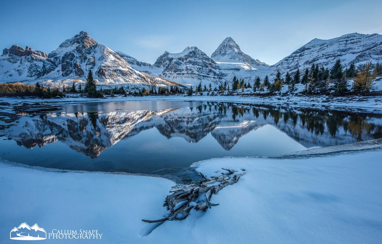 Фото обои зима, лес, снег, горы, озеро, Alberta, Canada, British Columbia