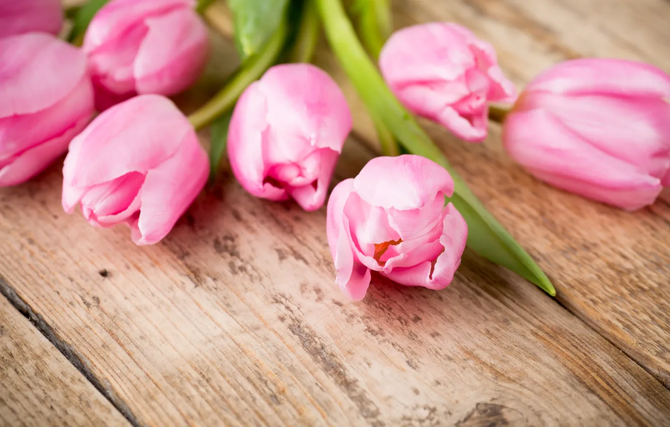 Фото обои цветы, букет, fresh, wood, pink, flowers, beautiful, tulips