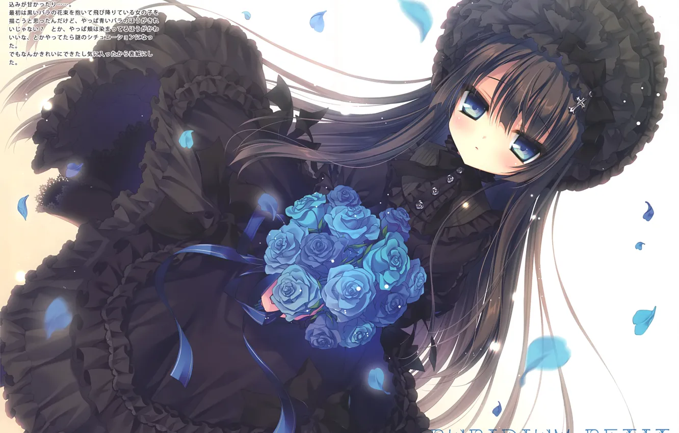 Фото обои лепестки, иероглифы, черное платье, длинные волосы, оборки, голубые розы, чёлка, рюшечки