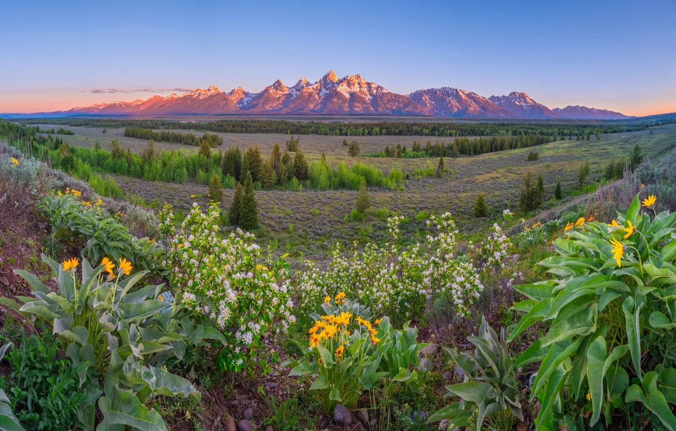 Фото обои Горы, Панорама, США, Пейзаж, Grand Teton National Park, Парки