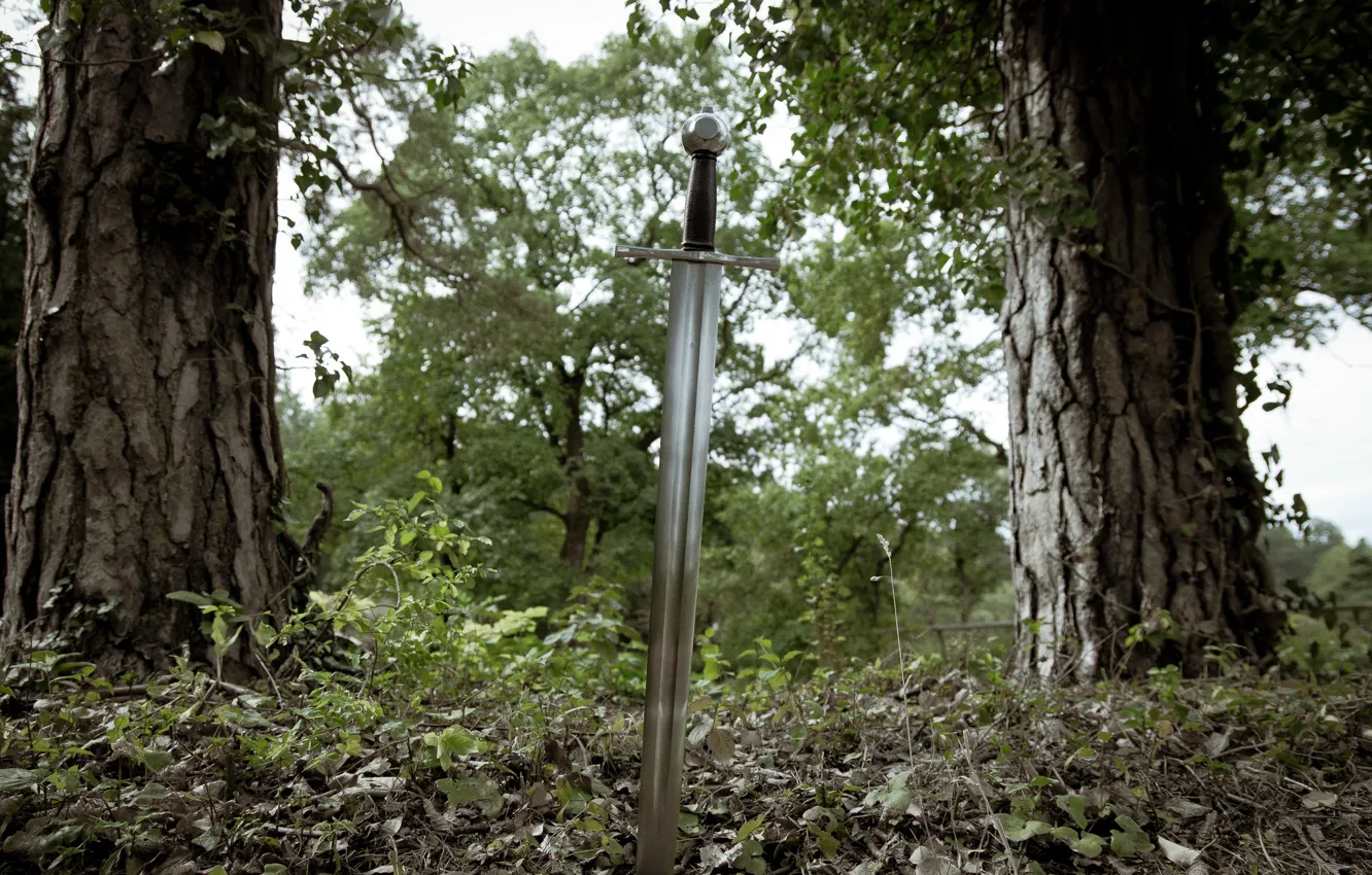 Фото обои природа, оружие, сталь, меч