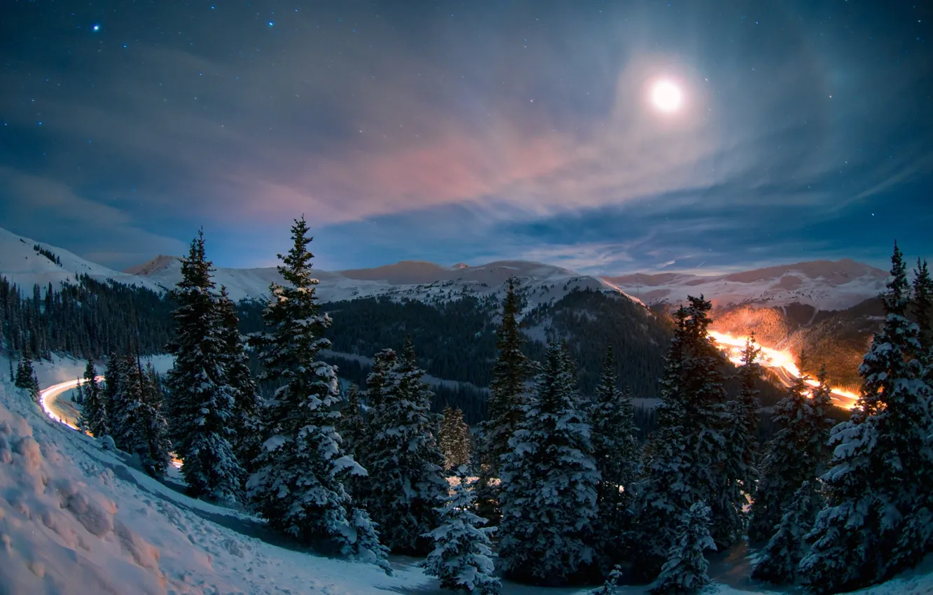 Фото обои Sky, Winter, Trees, Energo5, Night landscape