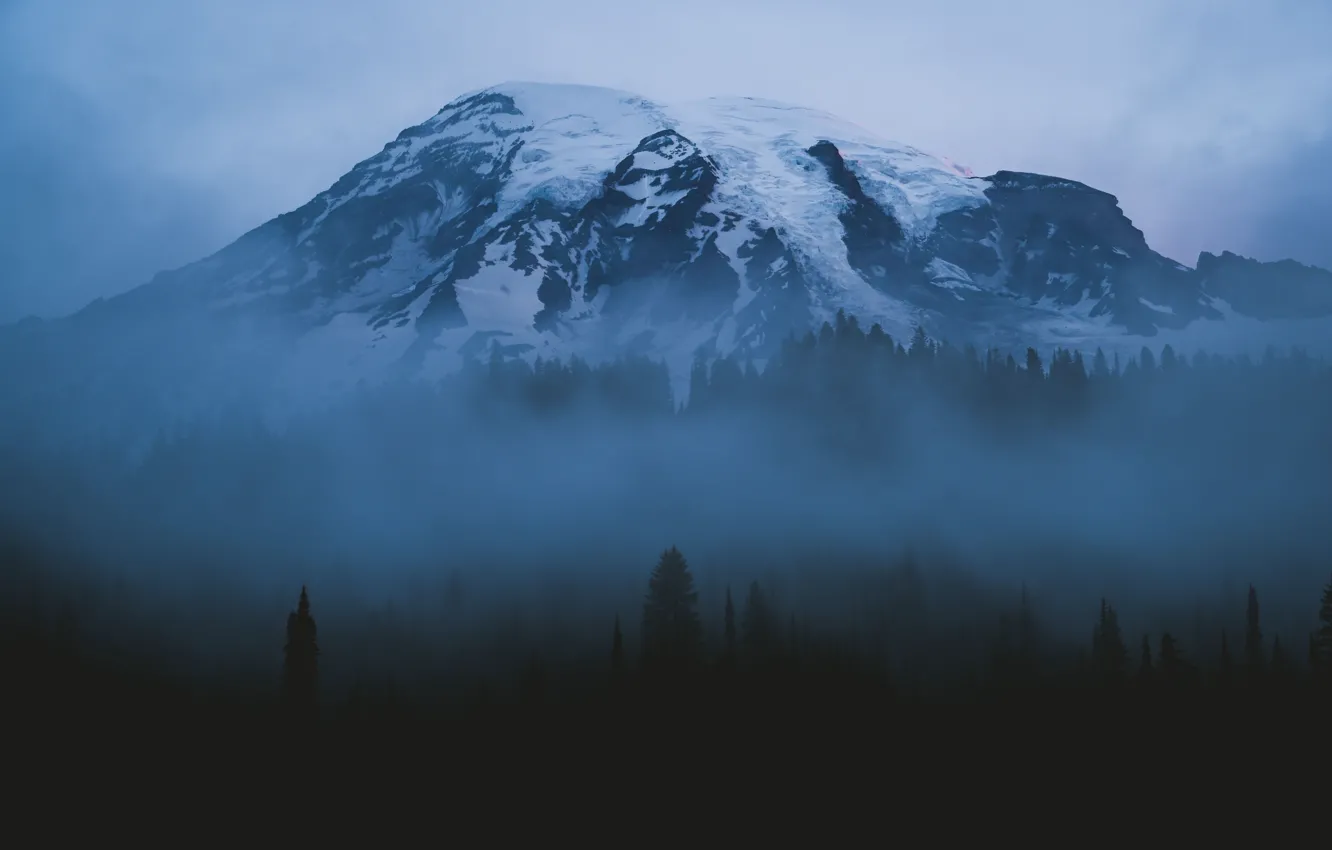 Фото обои лес, небо, снег, деревья, природа, туман, гора, вечер