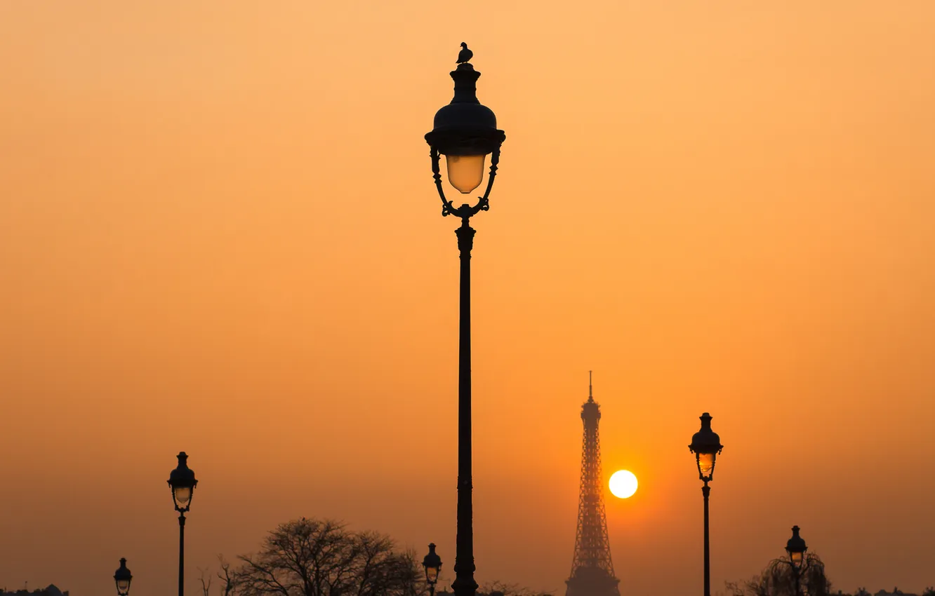 Фото обои птица, Париж, фонари