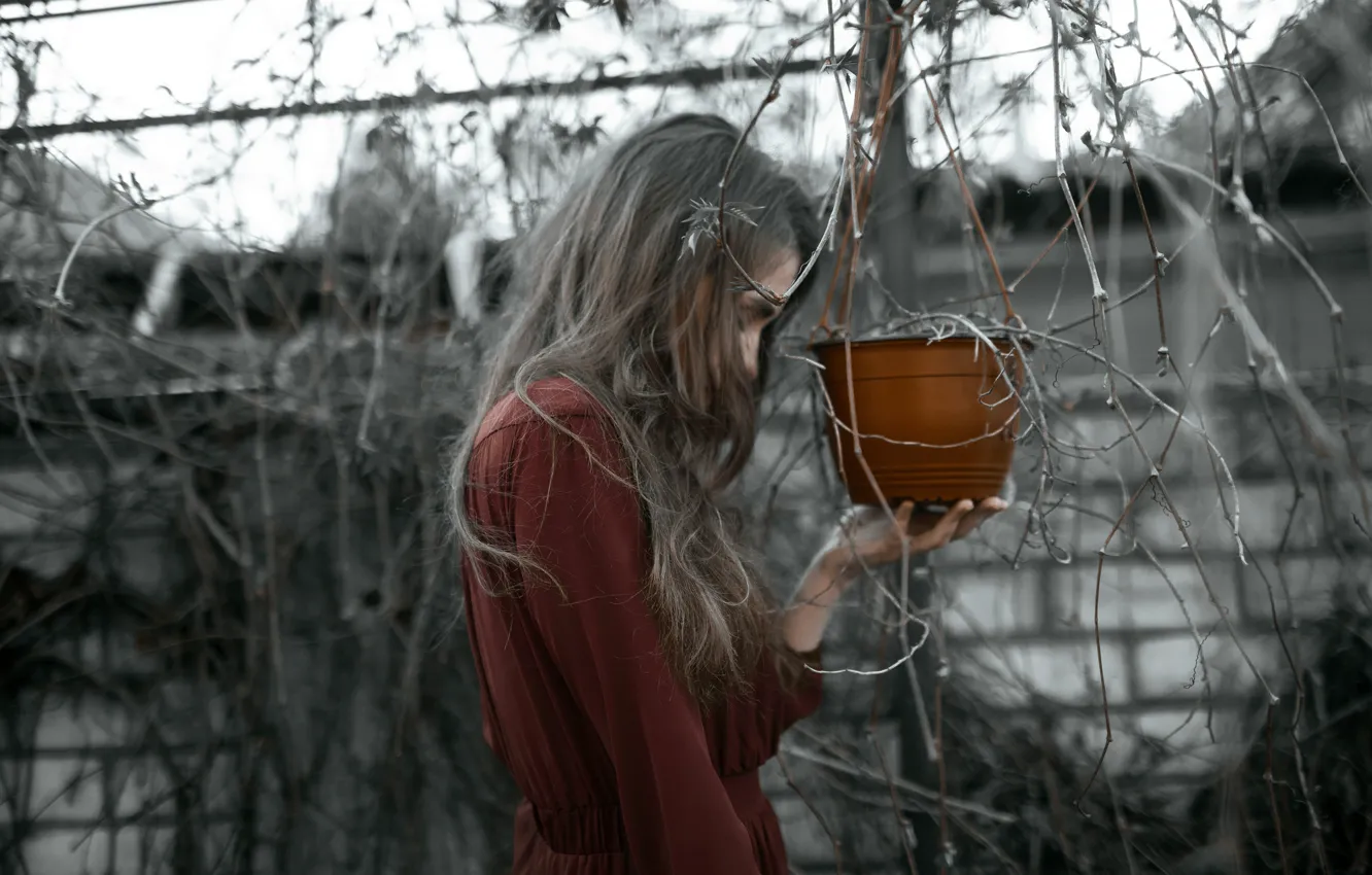 Фото обои девушка, платье, цветочный горшок, Alesya Volodko