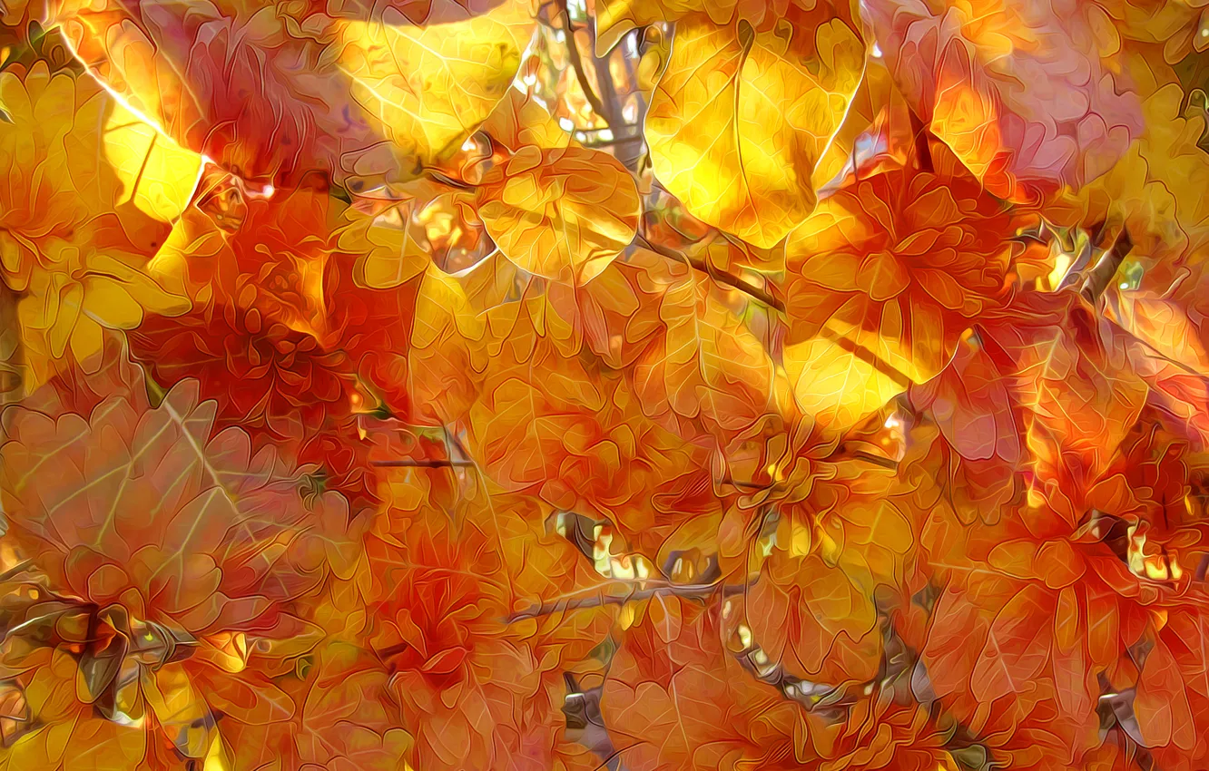 Фото обои осень, листья, линии, природа, краски