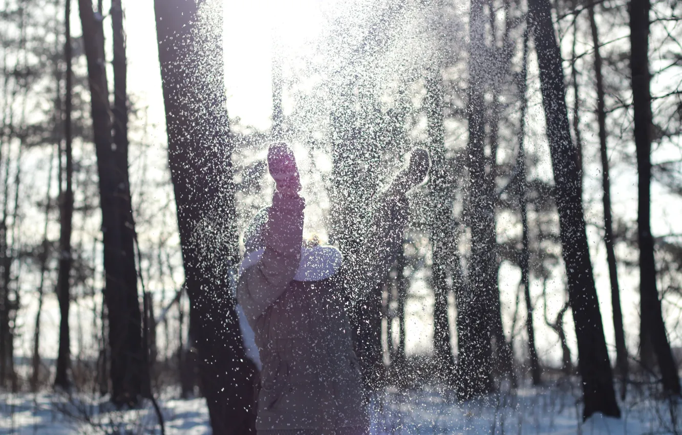 Фото обои лес, девушка, снег