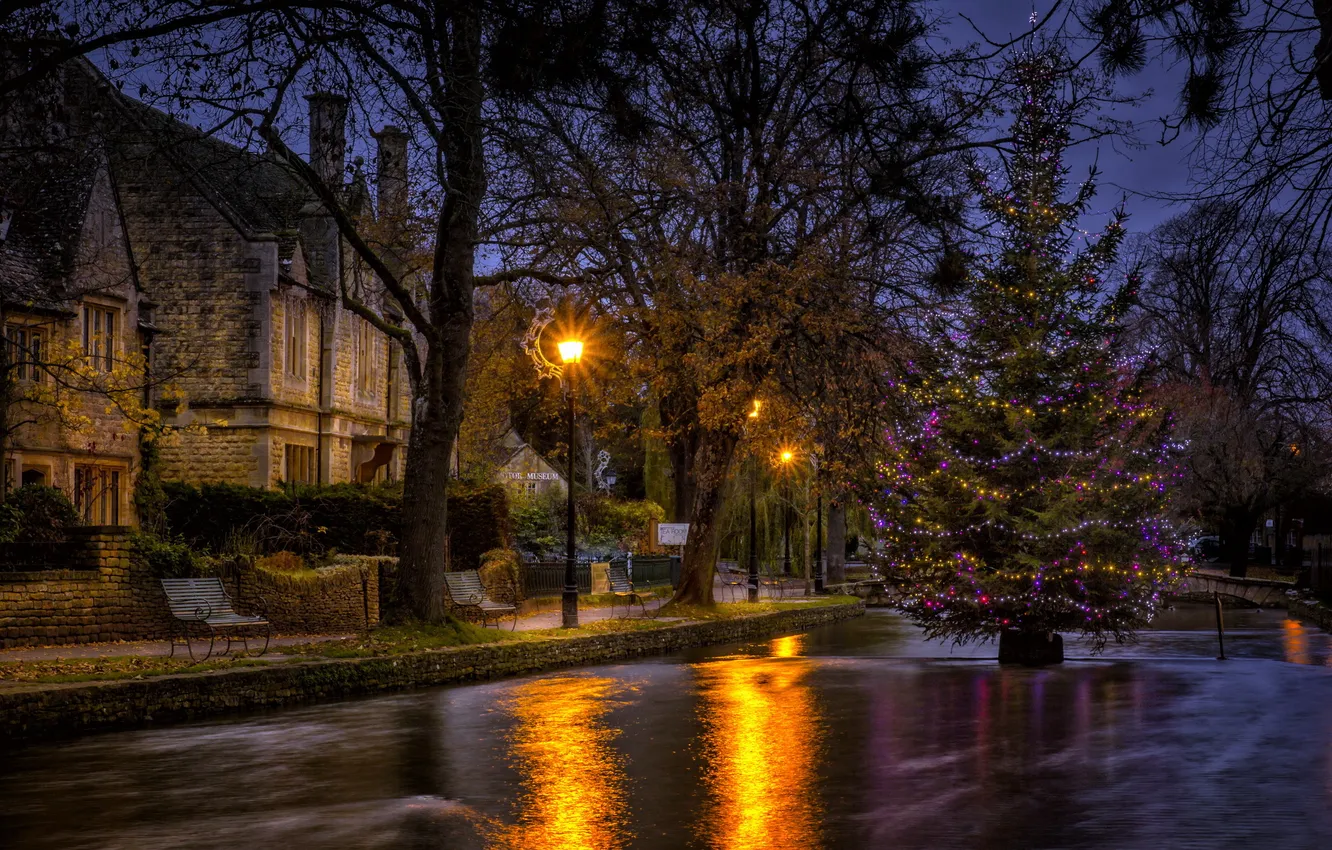 Фото обои Water, night, Christmas tree, Bourton