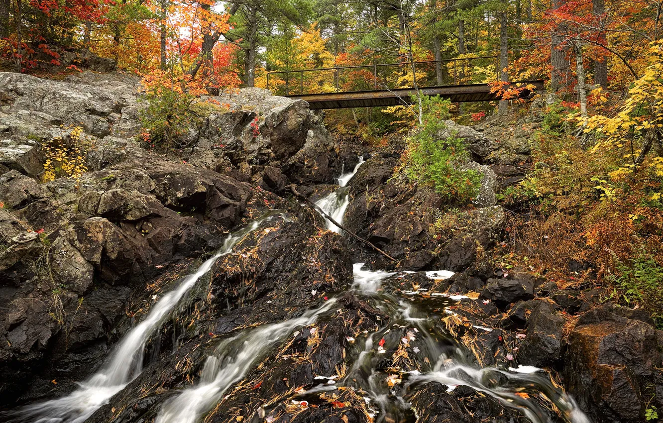 Фото обои осень, лес, деревья, горы, мост, ручей, камни, скалы