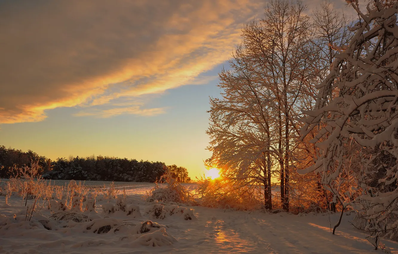 Фото обои зима, солнце, снег