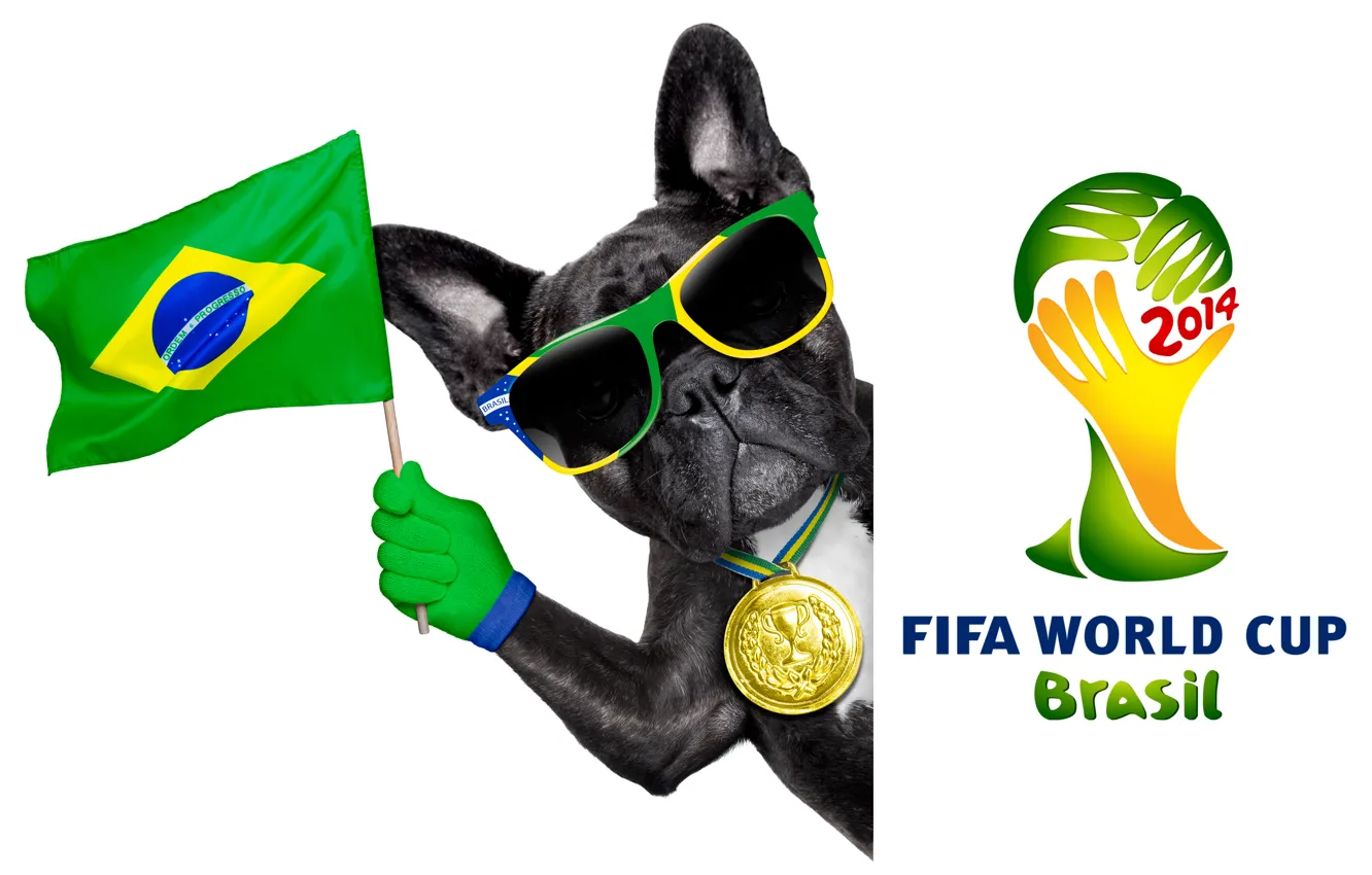 Фото обои logo, dog, football, flag, funny, cool, World Cup, Brasil