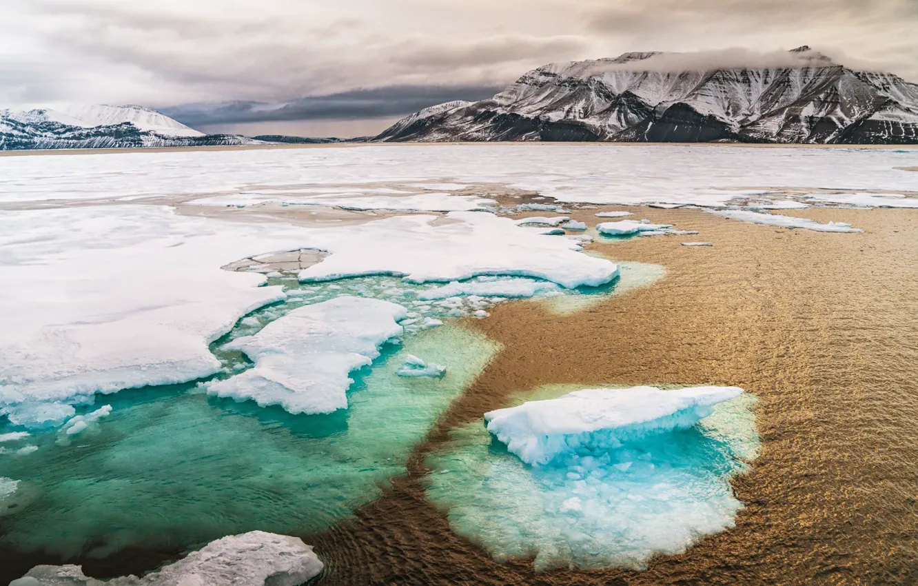 Фото обои Arctic, icebreaker, ice floes