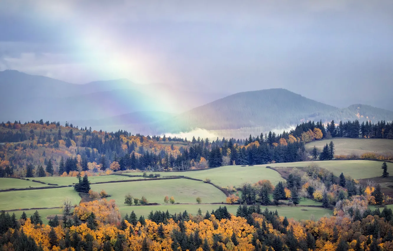 Фото обои поле, лес, вид, радуга