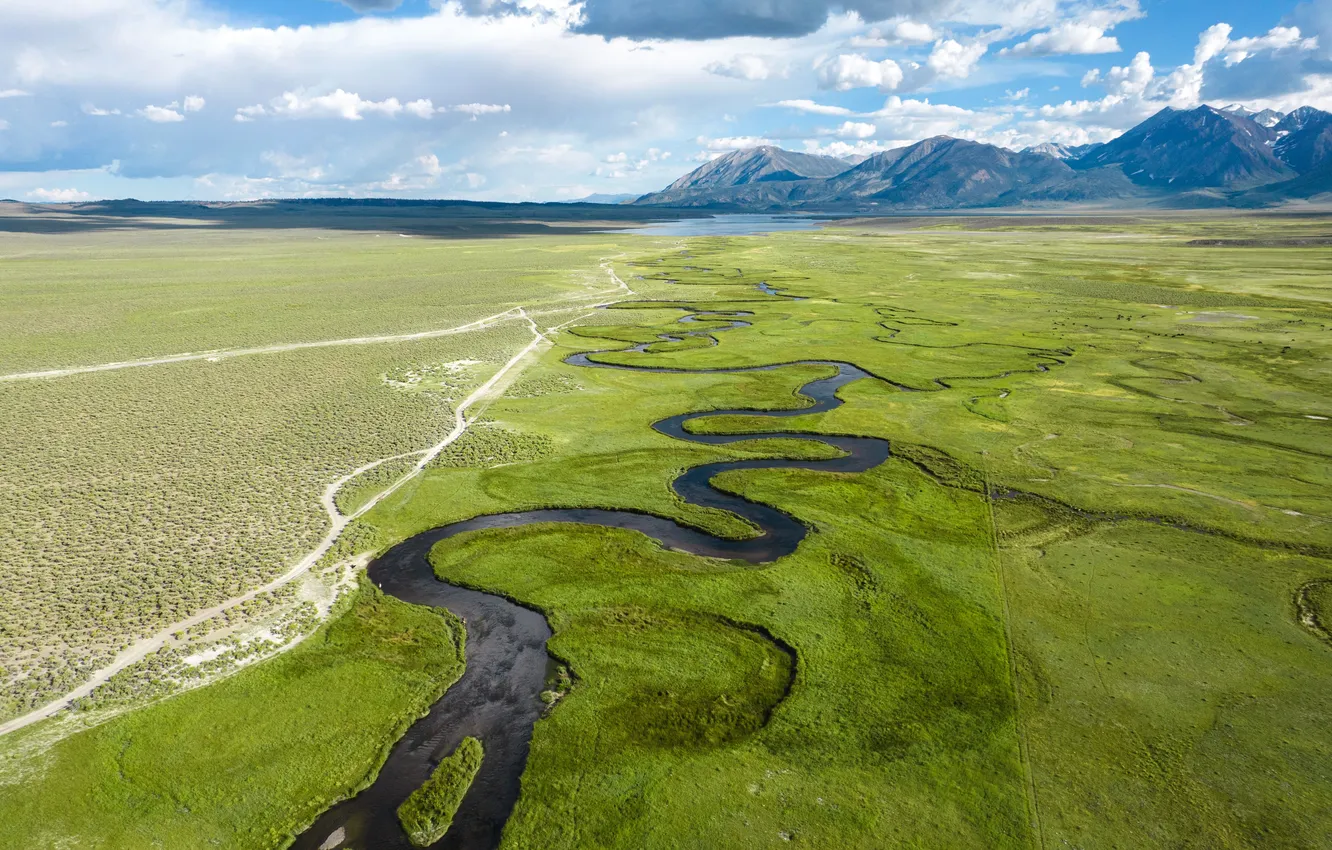 Фото обои Горизонт, Калифорния, USA, США, Красота, California, Wetland Park, Grassland Bishop