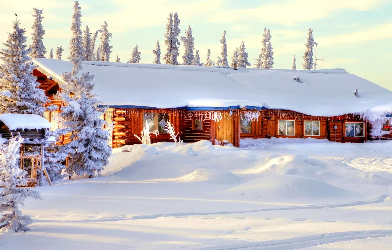 Фото обои зима, лес, небо, снег, деревья, природа, дом