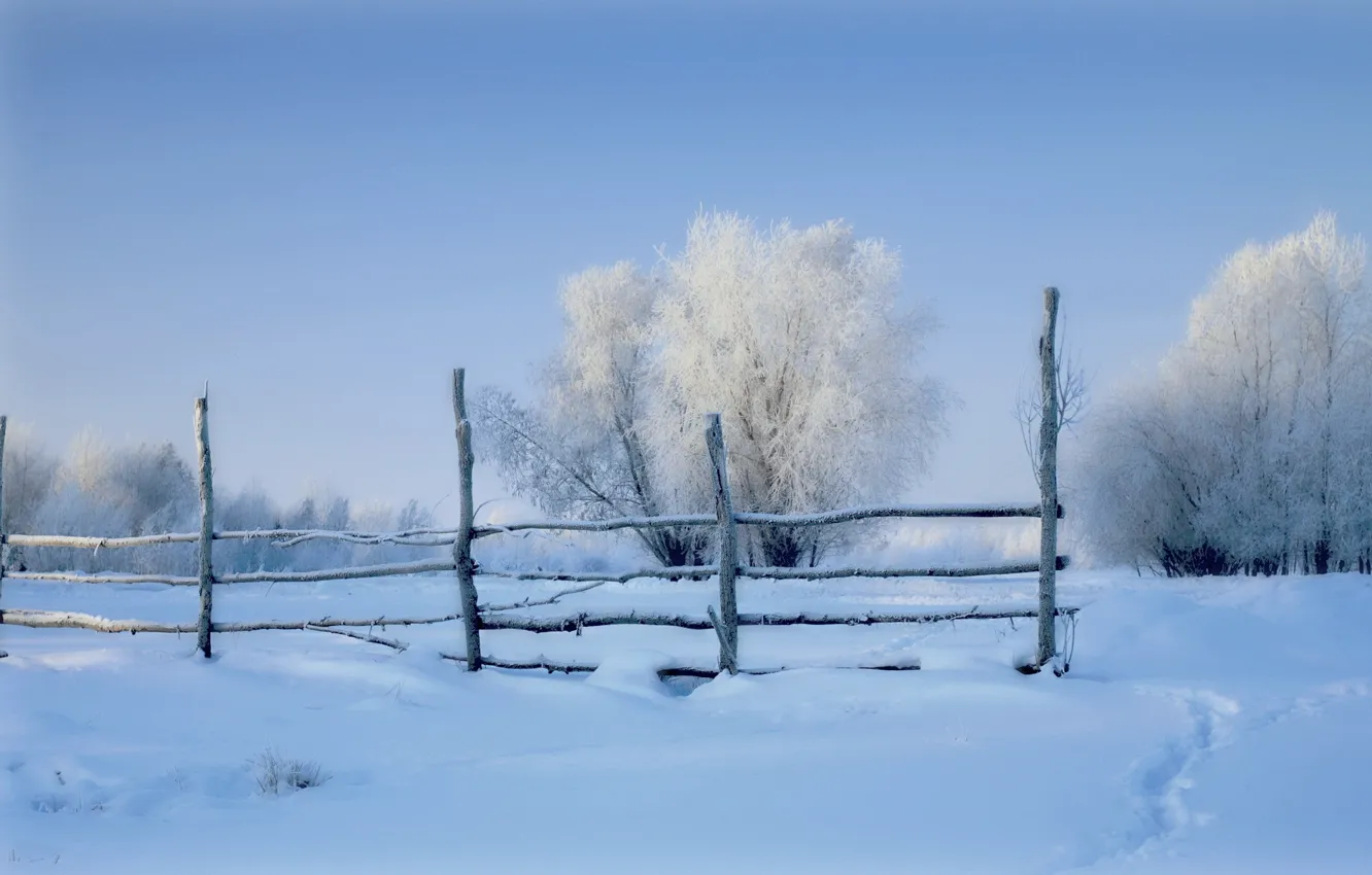 Фото обои зима, поле, снег, забор, утро