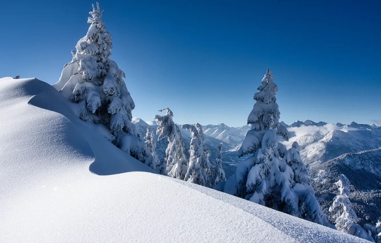 Фото обои зима, снег, деревья, горы, Австрия, ели, Альпы, сугробы